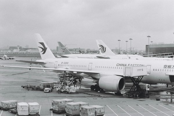 Témoignages de voyageurs : leurs expériences avec les croisières discount